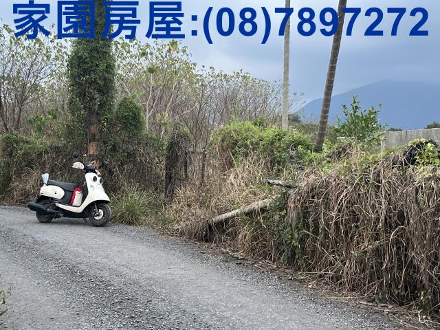 屏東新埤農地-2