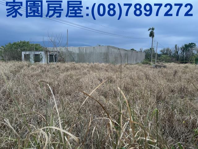 屏東新埤農地-4