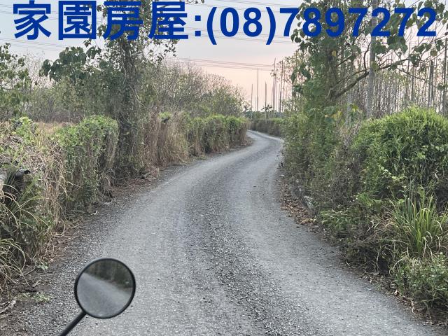 屏東新埤農地-6