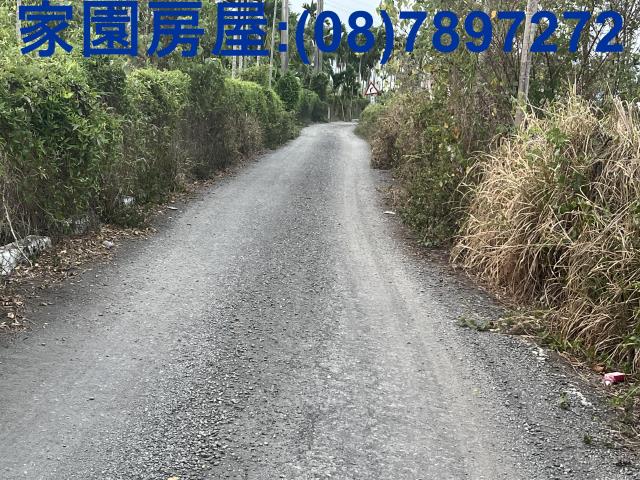 屏東新埤農地-7