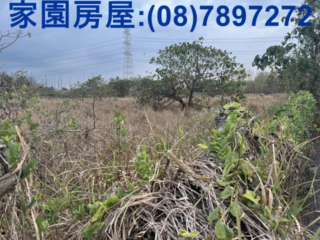 屏東新埤農地-9