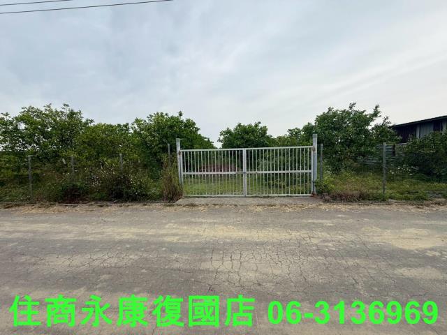 麻豆農地-1