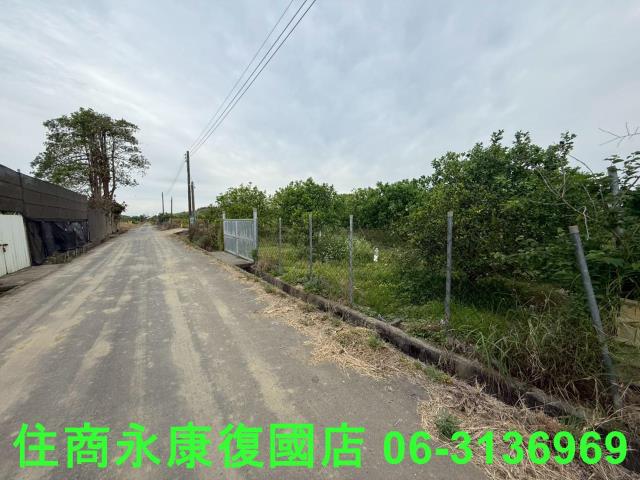 麻豆農地-2