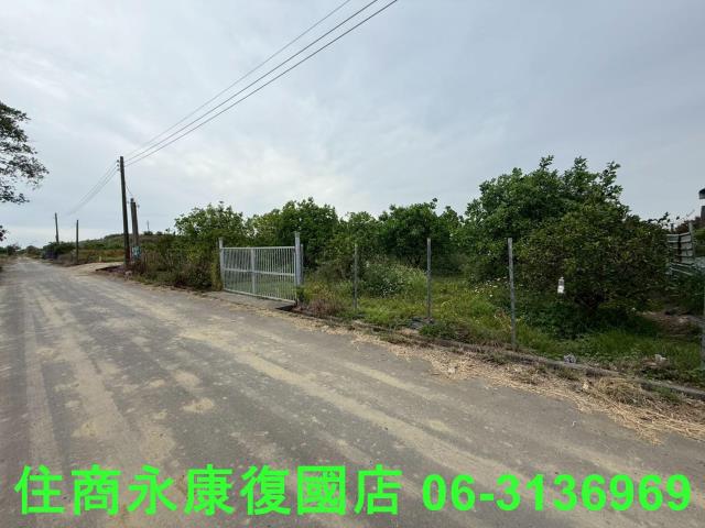 麻豆農地-6