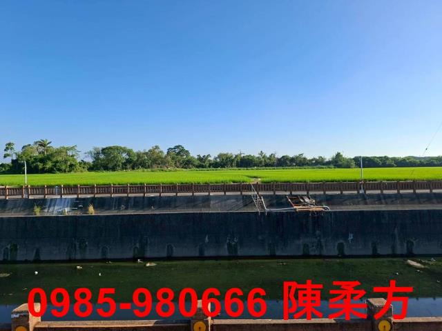 西區農地-10