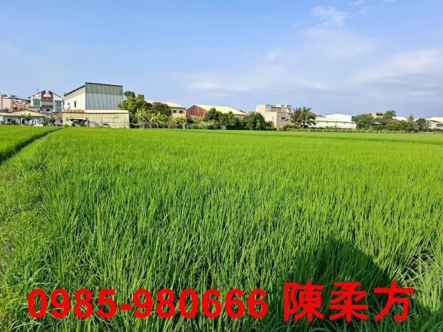 西區農地-7