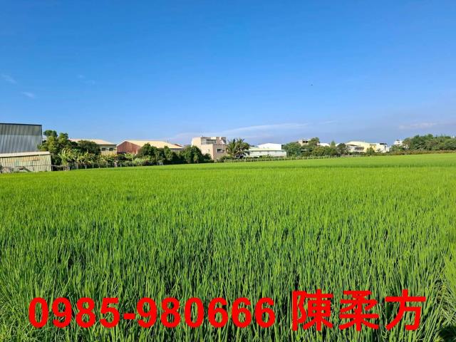 西區農地-9