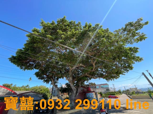 台中后里建地-10