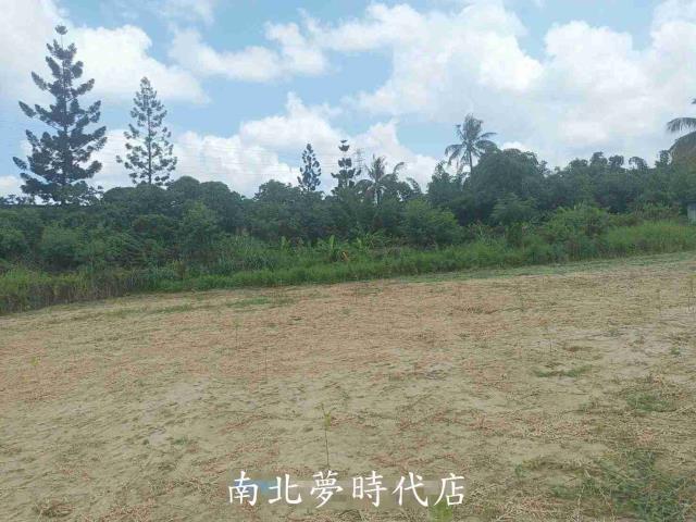 新化農地-14