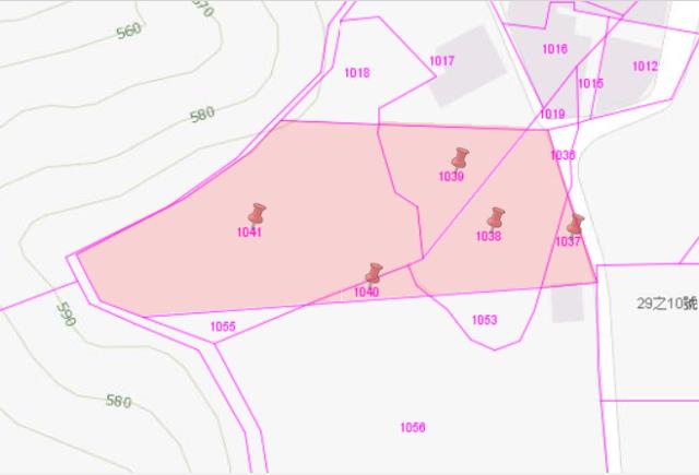 新社農地法拍-3