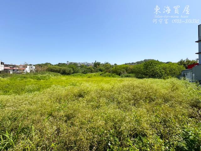 大肚工業地-6