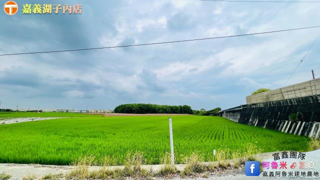 後壁農地-3