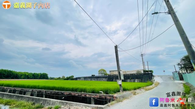 後壁農地-4