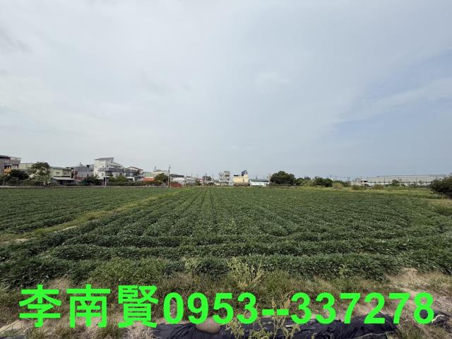 新化農地-7
