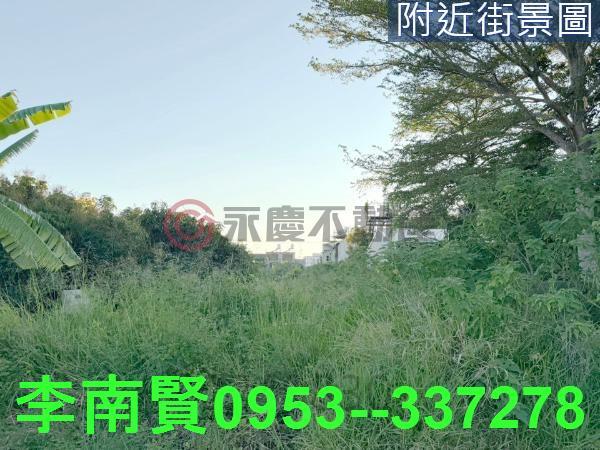 善化工業地-11