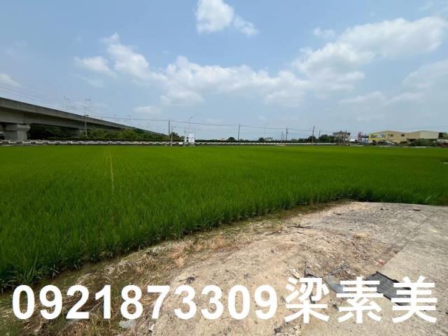 台南農地-5