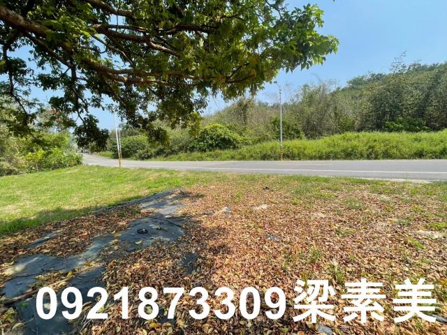 台南農地-3