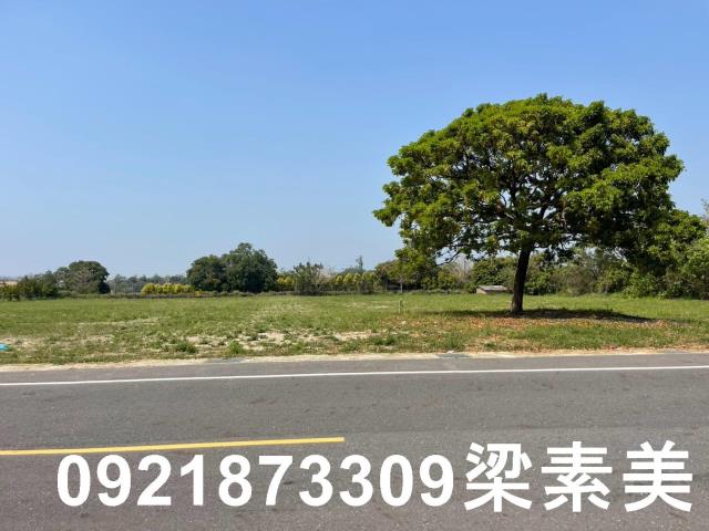 台南農地-8