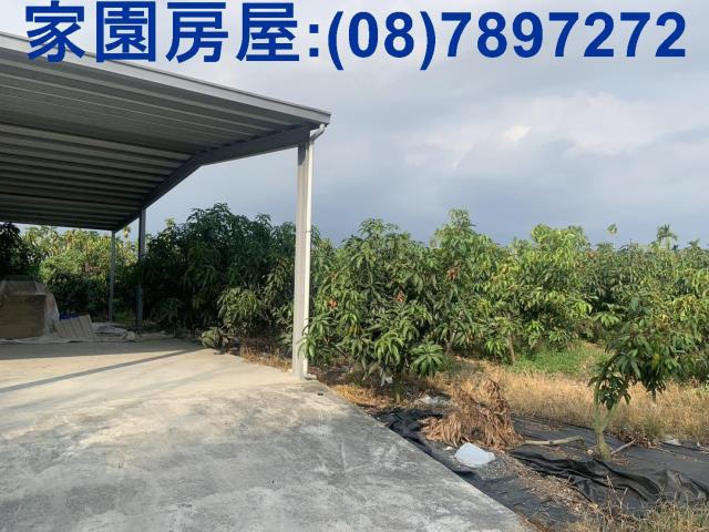 屏東農地-2