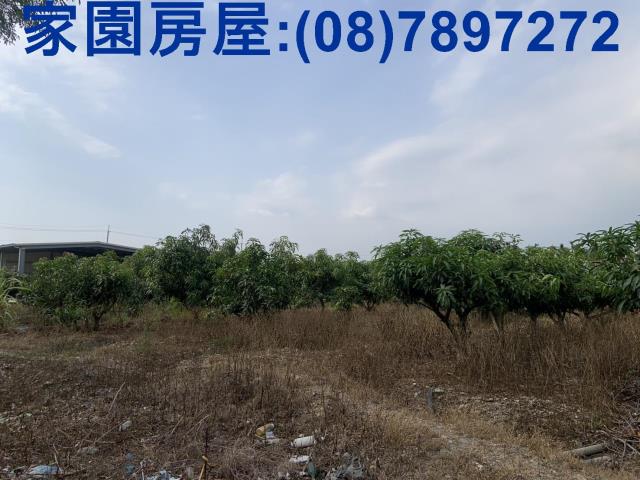 屏東農地-8