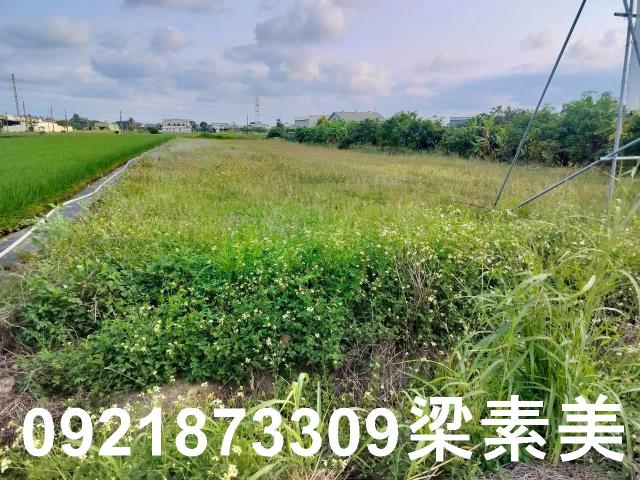 台南農地-6