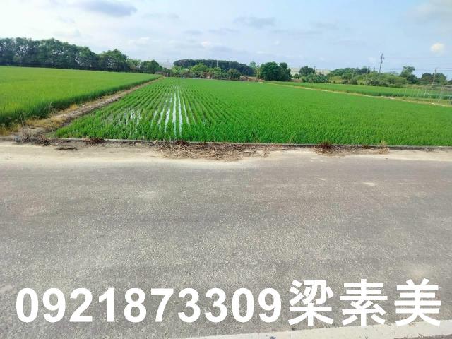 台南農地-9