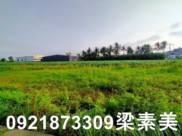 台南農地-11