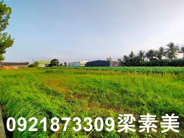 台南農地-1