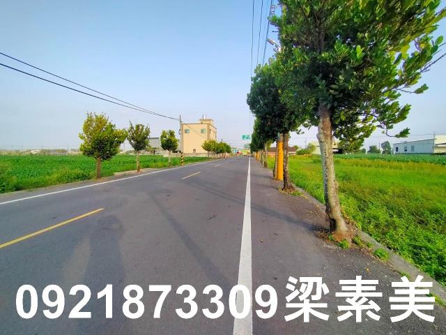 台南農地-2
