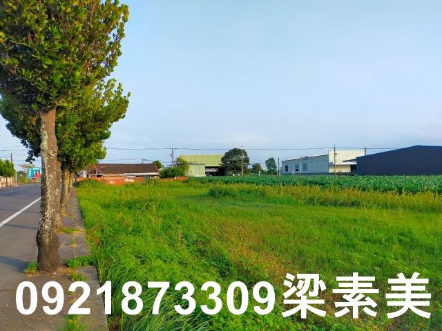 台南農地-4