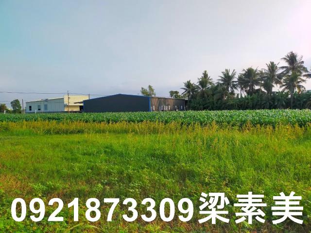 台南農地-5