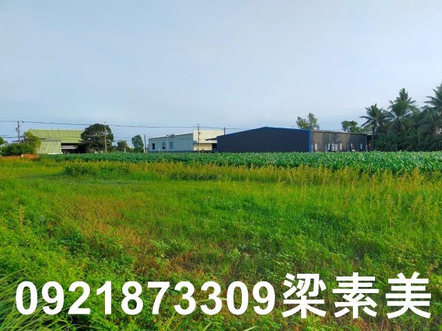 台南農地-6