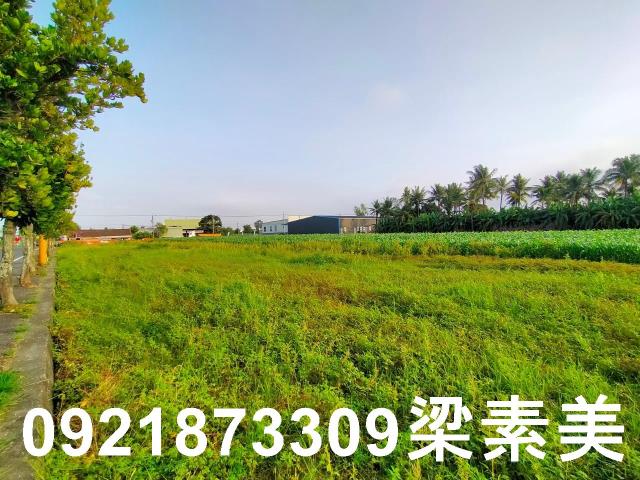 台南農地-7