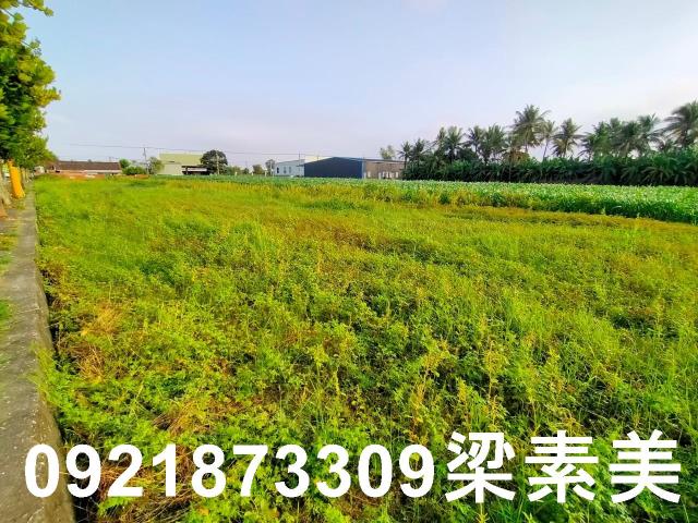 台南農地-8