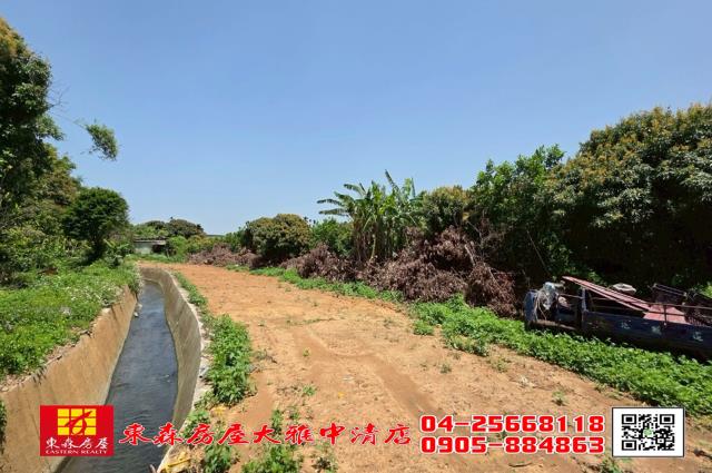 台中農地-2