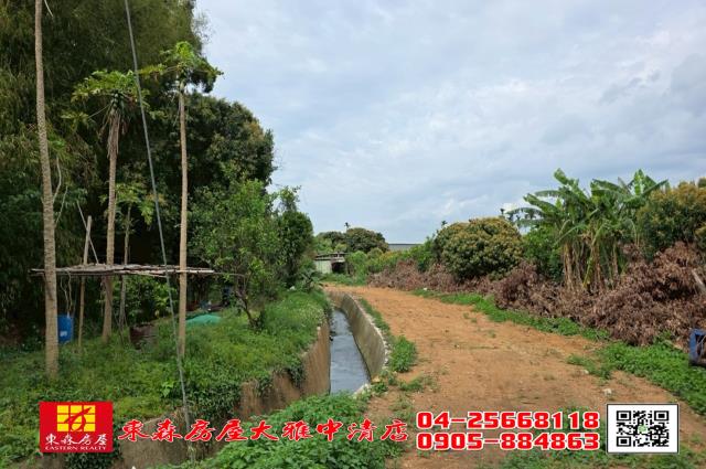 台中農地-3