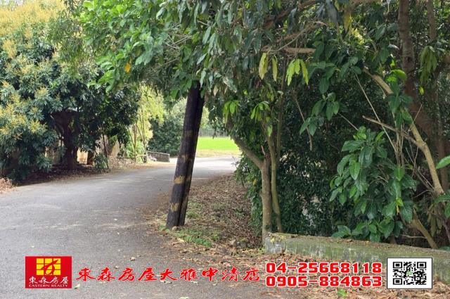 台中農地-5