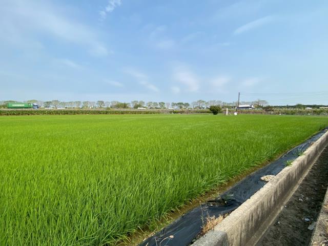 台南新營農地-6