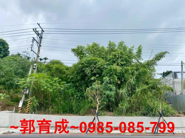 嘉義東區農地-4