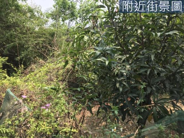 台南農地-2
