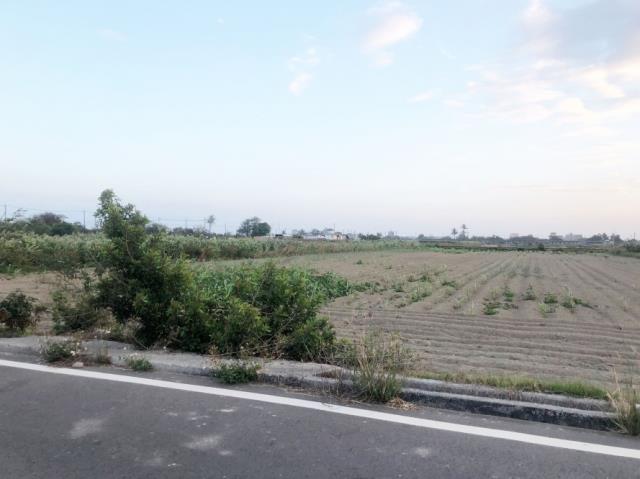 台南七股農地-7