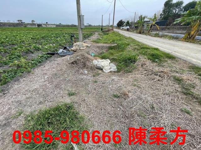 水上農地-8