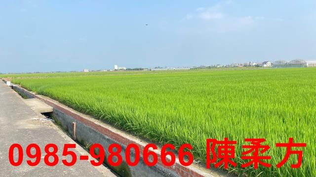 鹿草農地-14