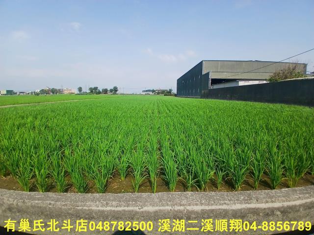 彰化農地-2