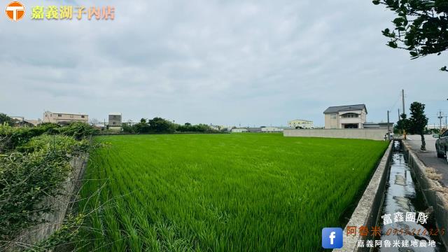 台中大甲農地-2