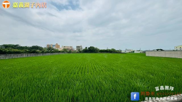台中大甲農地-3