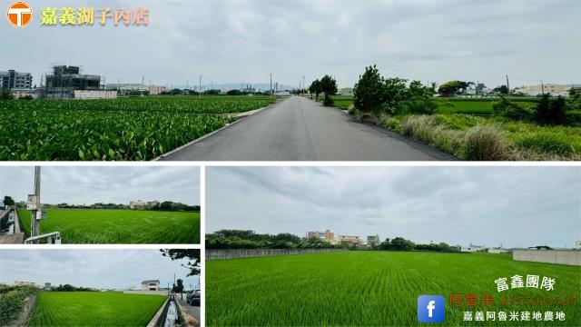 台中大甲農地-5