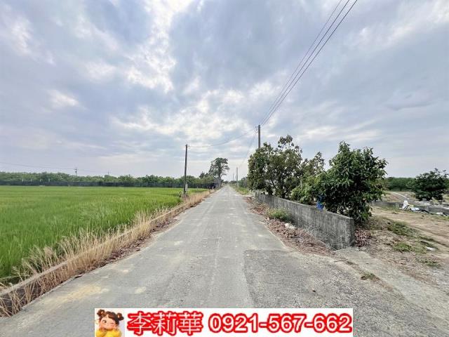 麻豆農地-4