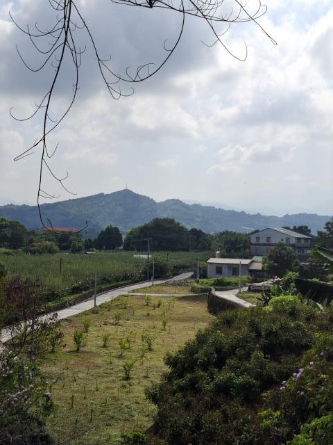 石岡農地-12