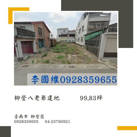 柳營法拍建地-1